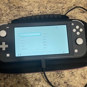 Nintendo Switch Lite